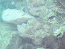 Klares sauberes Wasser