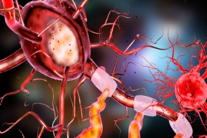 Zelle Neuron